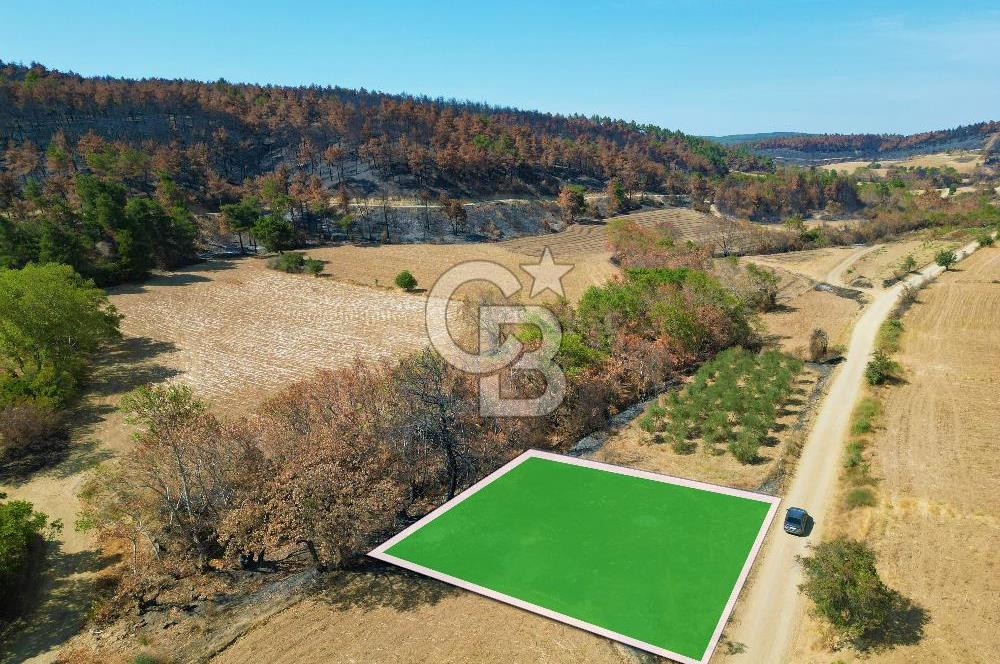 Gelibolu Ilgardere Köyünde 575 m² Müstakil Tapulu Tarla