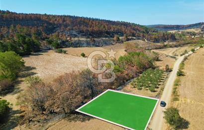 Gelibolu Ilgardere Köyünde 575 m² Müstakil Tapulu Tarla