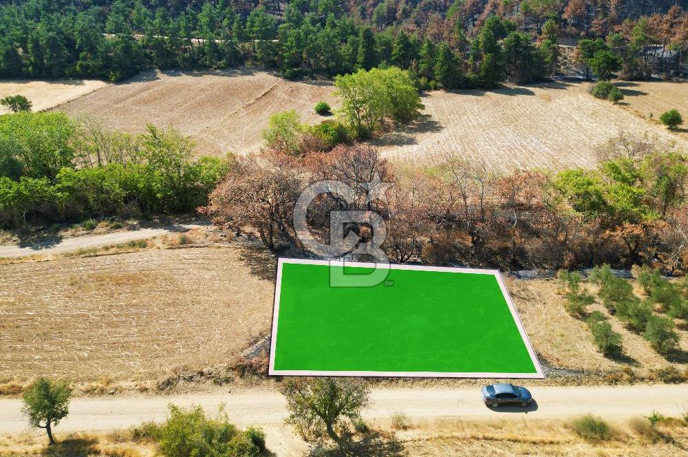 Gelibolu Ilgardere Köyünde 575 m² Müstakil Tapulu Tarla