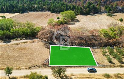 Gelibolu Ilgardere Köyünde 575 m² Müstakil Tapulu Tarla