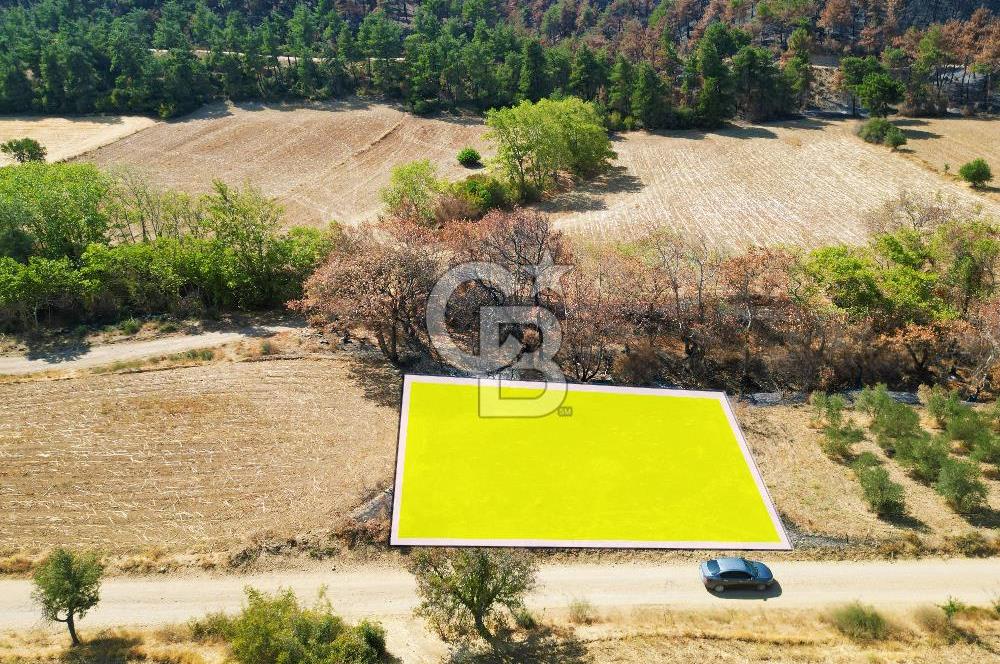 Gelibolu Ilgardere Köyünde 575 m² Müstakil Tapulu Tarla