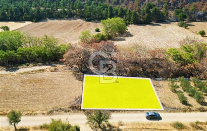 Gelibolu Ilgardere Köyünde 575 m² Müstakil Tapulu Tarla