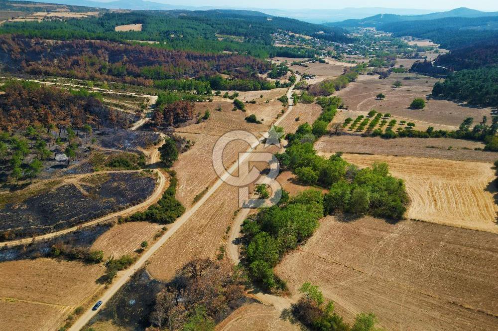 Gelibolu Ilgardere Köyünde 575 m² Müstakil Tapulu Tarla