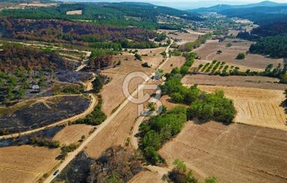 Gelibolu Ilgardere Köyünde 575 m² Müstakil Tapulu Tarla