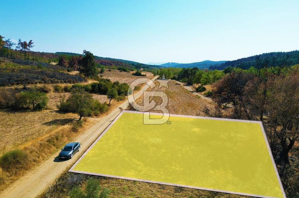 Gelibolu Ilgardere Köyünde 575 m² Müstakil Tapulu Tarla