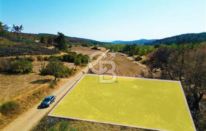 Gelibolu Ilgardere Köyünde 575 m² Müstakil Tapulu Tarla