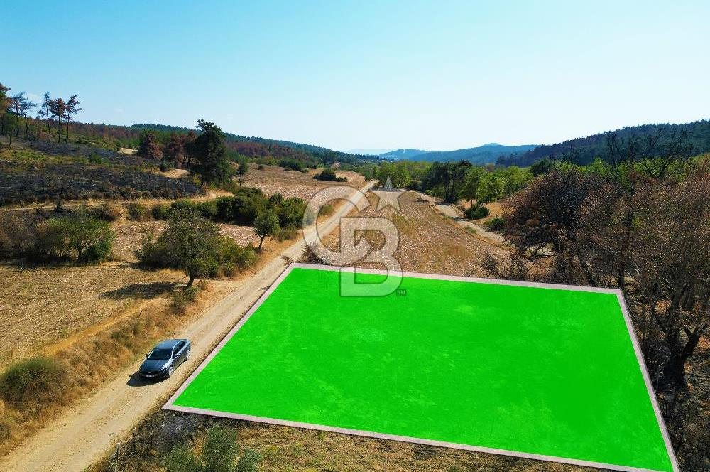 Gelibolu Ilgardere Köyünde 575 m² Müstakil Tapulu Tarla