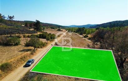 Gelibolu Ilgardere Köyünde 575 m² Müstakil Tapulu Tarla