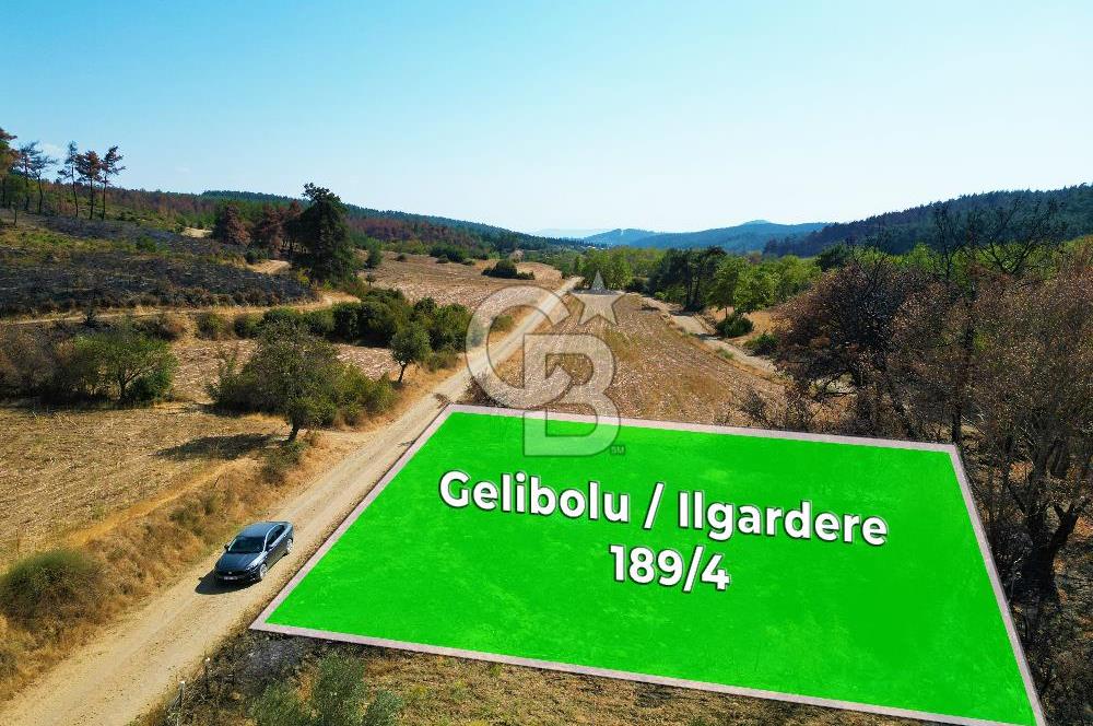 Gelibolu Ilgardere Köyünde 575 m² Müstakil Tapulu Tarla