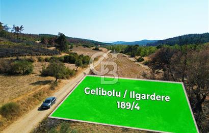 Gelibolu Ilgardere Köyünde 575 m² Müstakil Tapulu Tarla
