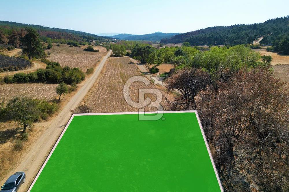 Gelibolu Ilgardere Köyünde 575 m² Müstakil Tapulu Tarla