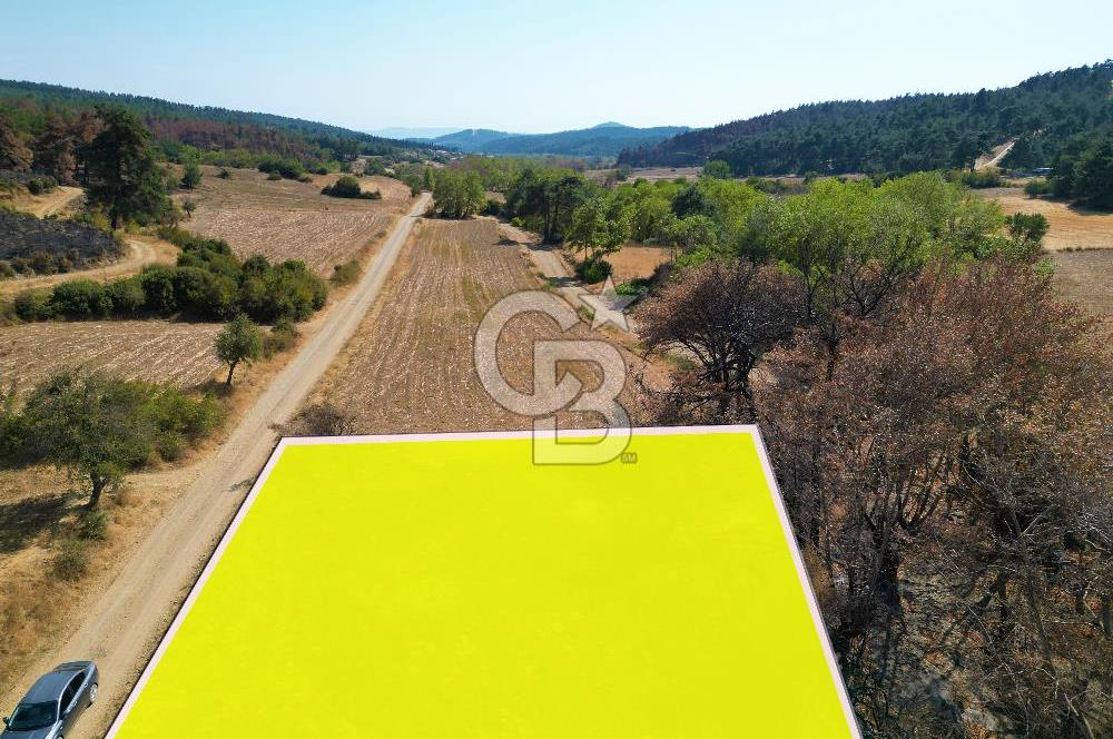 Gelibolu Ilgardere Köyünde 575 m² Müstakil Tapulu Tarla
