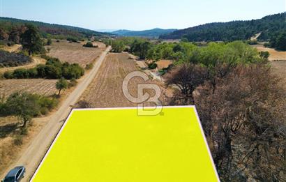 Gelibolu Ilgardere Köyünde 575 m² Müstakil Tapulu Tarla