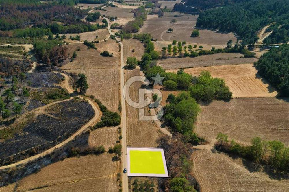 Gelibolu Ilgardere Köyünde 575 m² Müstakil Tapulu Tarla
