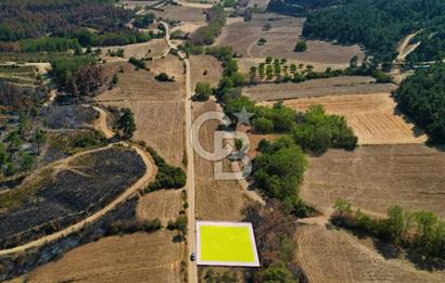 Gelibolu Ilgardere Köyünde 575 m² Müstakil Tapulu Tarla