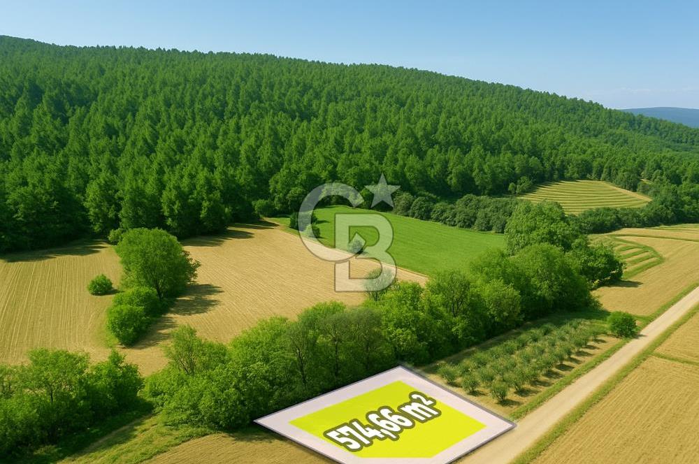 Gelibolu Ilgardere Köyünde 575 m² Müstakil Tapulu Tarla