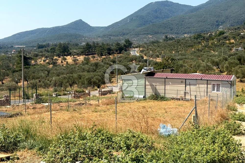 KEMALPAŞA VİŞNELİ'DE DOĞAYLA İÇ İÇE YATIRIMLIK HOBİ BAHÇESİ