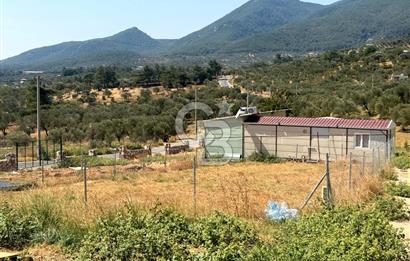 KEMALPAŞA VİŞNELİ'DE DOĞAYLA İÇ İÇE YATIRIMLIK HOBİ BAHÇESİ