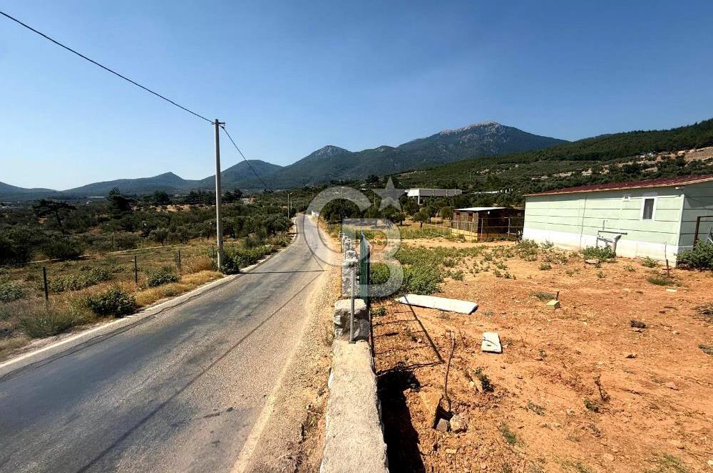 KEMALPAŞA VİŞNELİ'DE DOĞAYLA İÇ İÇE YATIRIMLIK HOBİ BAHÇESİ