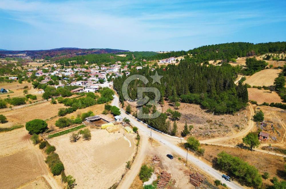 Gelibolu Ilgardere köyünde İmar Sınırında Yatırımlık Müstakil Tarla!