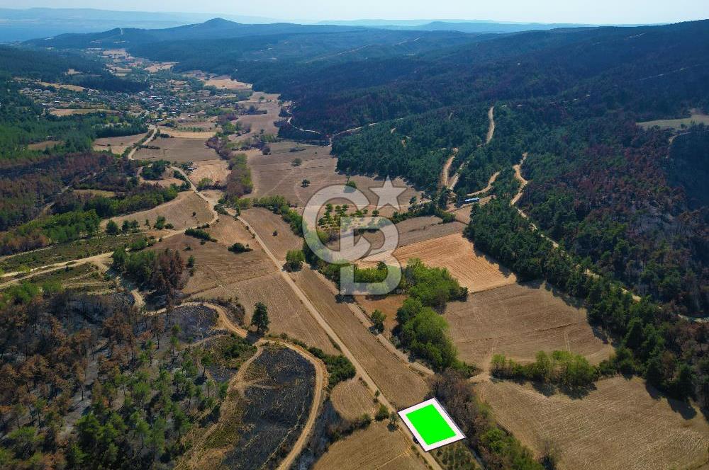 Gelibolu Ilgardere Köyünde 575 m² Müstakil Tapulu Tarla
