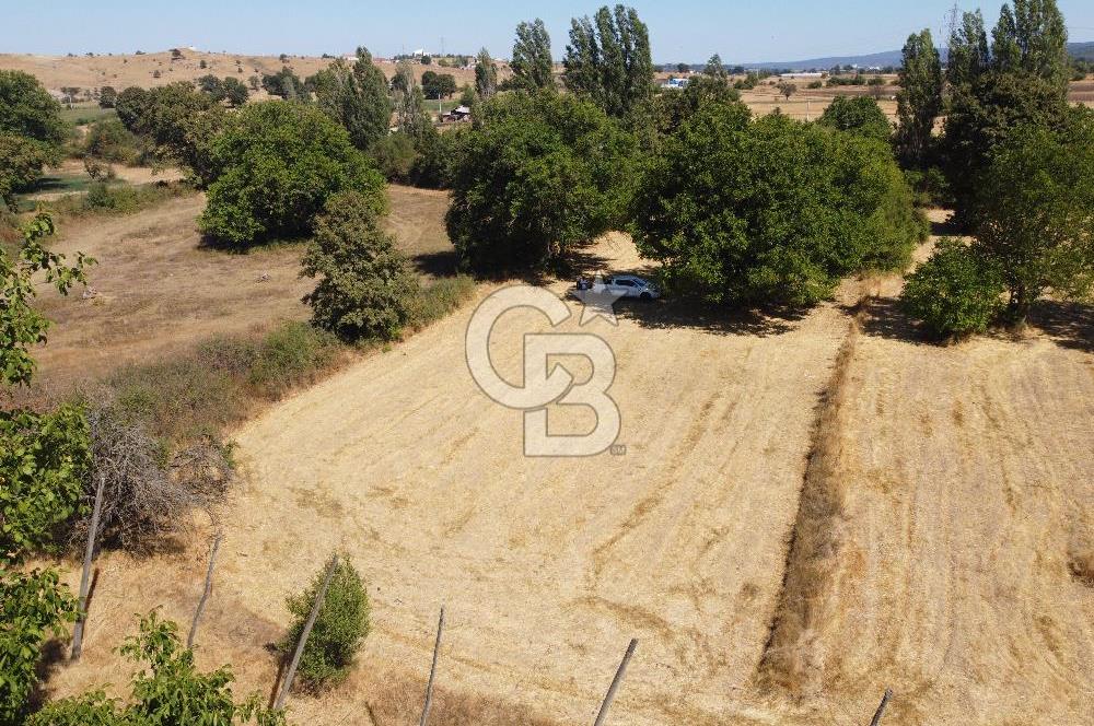 CB ELEGANCE' DEN PAZARYERİ DOĞANLAR SATILIK TARLA
