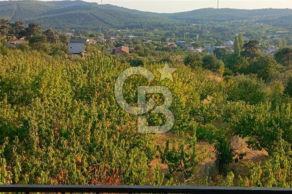 İZMİR BAYINDIR'DA DOĞANIN İÇİNDE BAHÇELİ VE HUZURLU 3+1 TAŞ EV