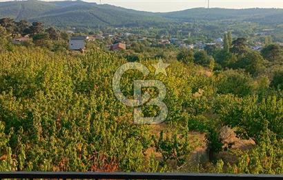 İZMİR BAYINDIR'DA DOĞANIN İÇİNDE BAHÇELİ VE HUZURLU 3+1 TAŞ EV