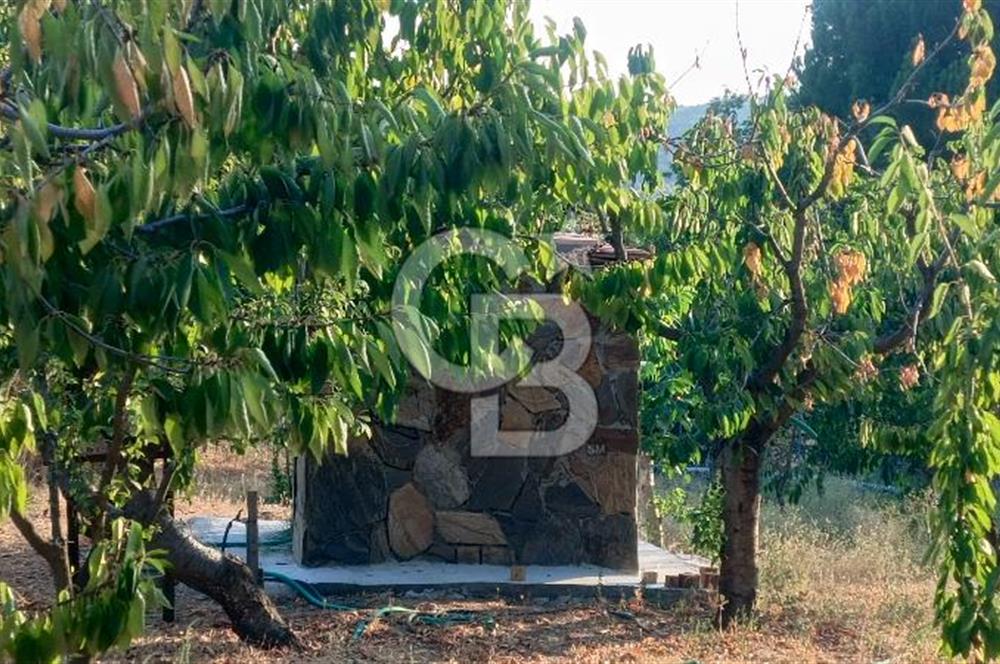 İZMİR BAYINDIR'DA DOĞANIN İÇİNDE BAHÇELİ VE HUZURLU 3+1 TAŞ EV