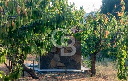 İZMİR BAYINDIR'DA DOĞANIN İÇİNDE BAHÇELİ VE HUZURLU 3+1 TAŞ EV