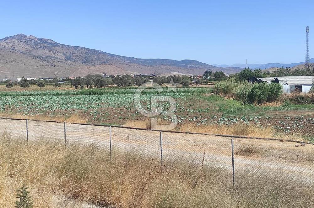 MENEMEN HATUNDEREDE OTOBAN YOLA CEPHELİ TARLA