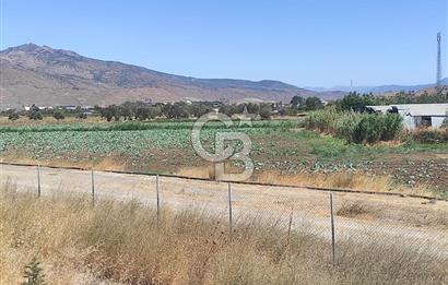 MENEMEN HATUNDEREDE OTOBAN YOLA CEPHELİ TARLA