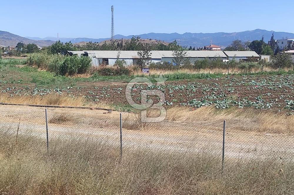 MENEMEN HATUNDEREDE OTOBAN YOLA CEPHELİ TARLA