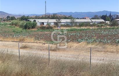 MENEMEN HATUNDEREDE OTOBAN YOLA CEPHELİ TARLA
