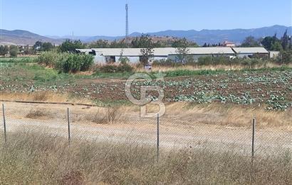 MENEMEN HATUNDEREDE OTOBAN YOLA CEPHELİ TARLA