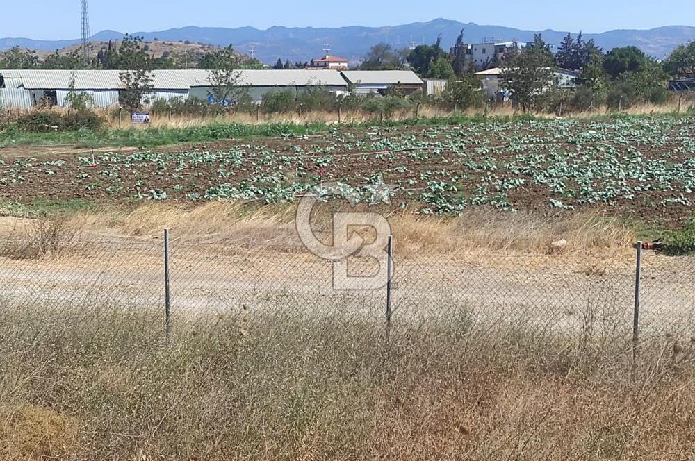 MENEMEN HATUNDEREDE OTOBAN YOLA CEPHELİ TARLA