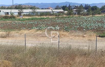 MENEMEN HATUNDEREDE OTOBAN YOLA CEPHELİ TARLA