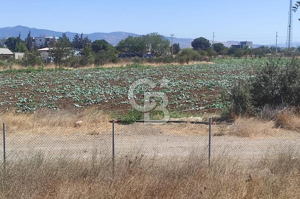 MENEMEN HATUNDERE OTOYOLA CEPHELİ TARLA