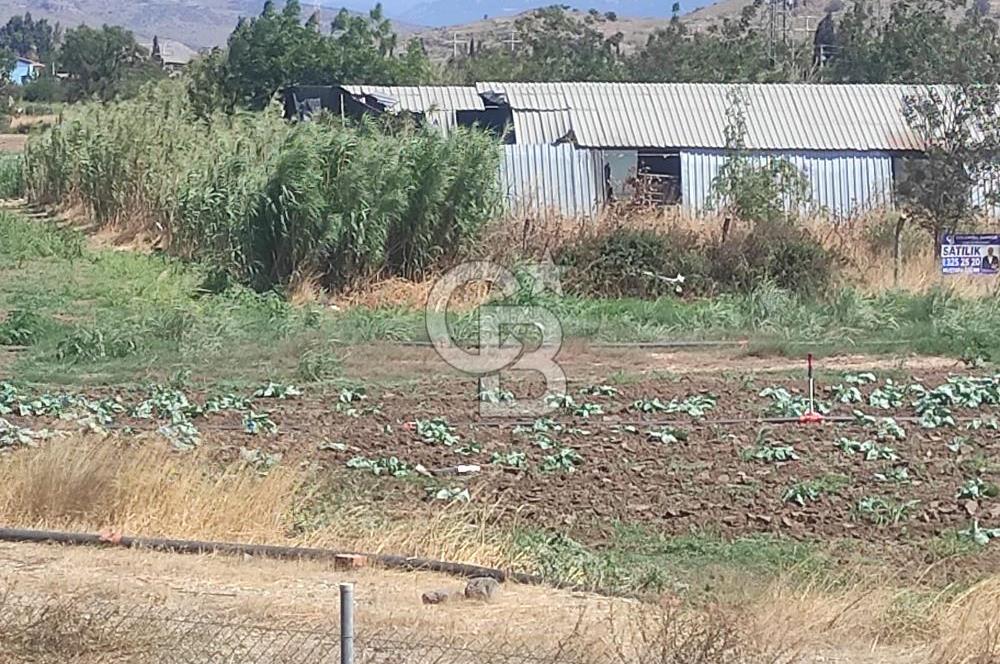 MENEMEN HATUNDEREDE OTOBAN YOLA CEPHELİ TARLA