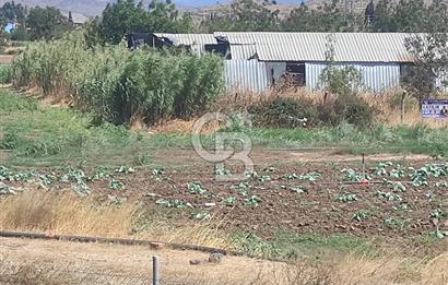MENEMEN HATUNDEREDE OTOBAN YOLA CEPHELİ TARLA