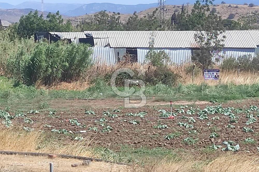 MENEMEN HATUNDEREDE OTOBAN YOLA CEPHELİ TARLA