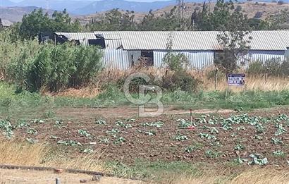 MENEMEN HATUNDEREDE OTOBAN YOLA CEPHELİ TARLA