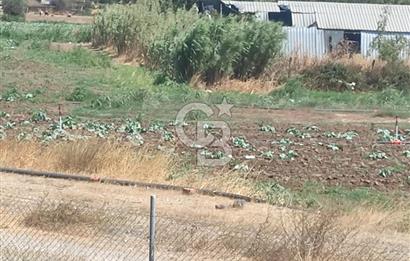 MENEMEN HATUNDEREDE OTOBAN YOLA CEPHELİ TARLA