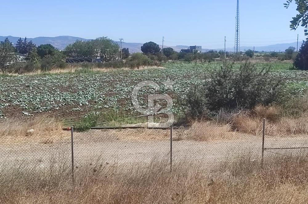 MENEMEN HATUNDERE OTOYOLA CEPHELİ TARLA