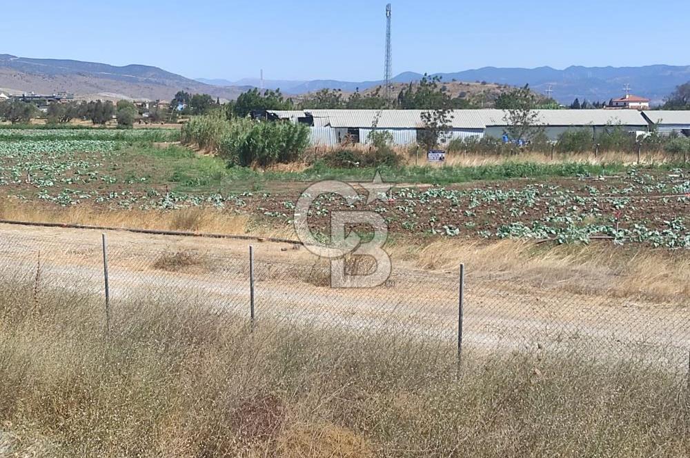 MENEMEN HATUNDEREDE OTOBAN YOLA CEPHELİ TARLA