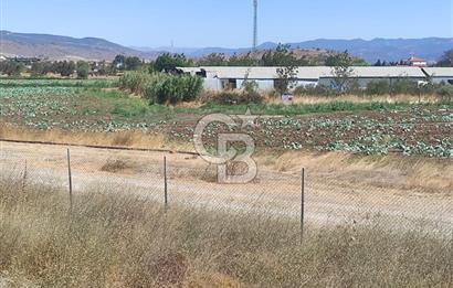 MENEMEN HATUNDEREDE OTOBAN YOLA CEPHELİ TARLA