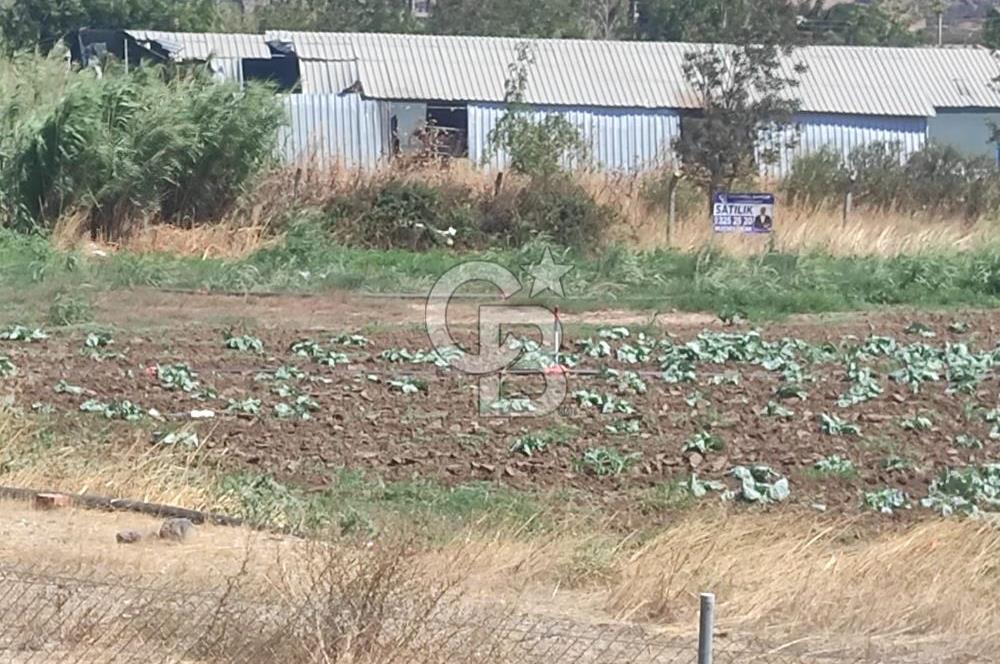 MENEMEN HATUNDEREDE OTOBAN YOLA CEPHELİ TARLA