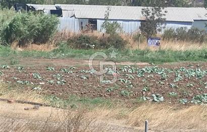 MENEMEN HATUNDEREDE OTOBAN YOLA CEPHELİ TARLA