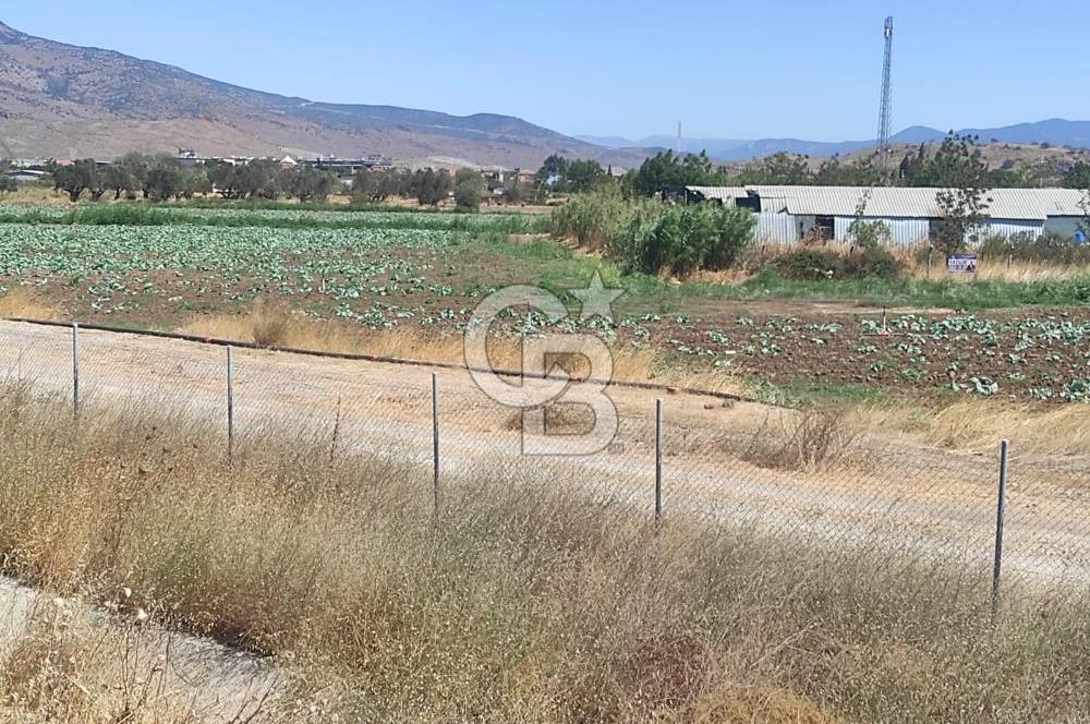 MENEMEN HATUNDEREDE OTOBAN YOLA CEPHELİ TARLA