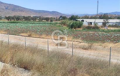 MENEMEN HATUNDEREDE OTOBAN YOLA CEPHELİ TARLA